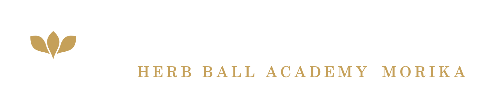 ハーブボールアカデミー MORIKA